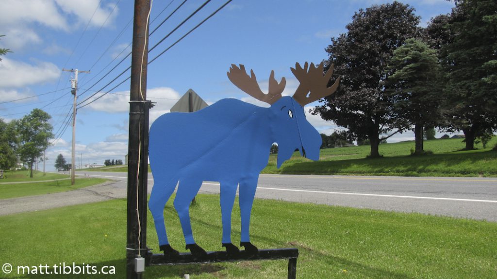 The famous Blue Moose. Do not pass by here without stopping for a delicious bite to eat.