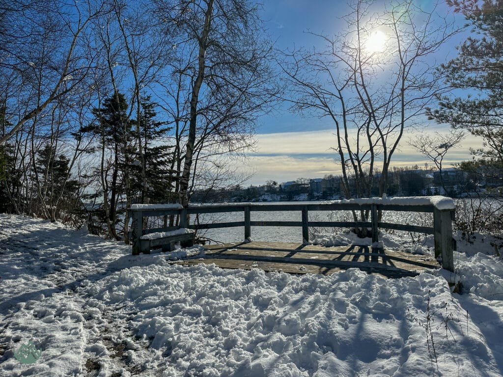 snow covered trail