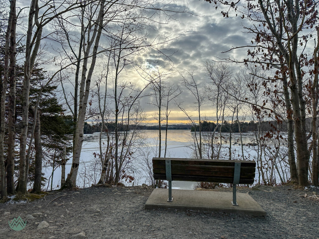 a bench overlooking a lake