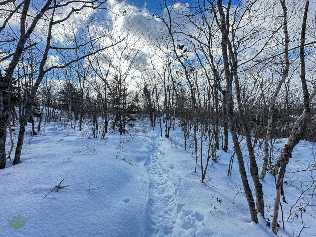 The Bluff Trail in winter