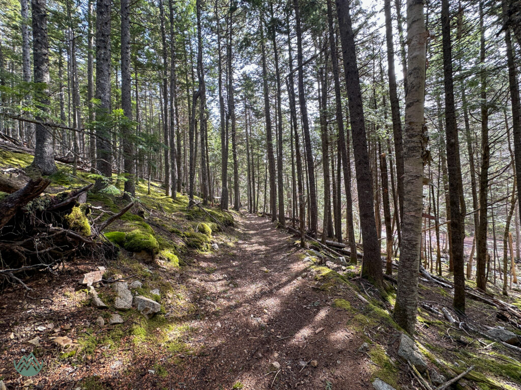 the GUT Trail in Wentworth, NS